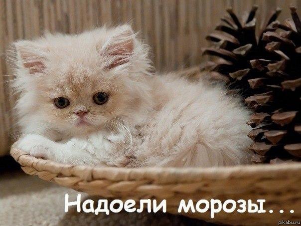 ��... ��� �� ���...