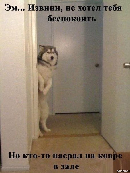 ����� ���? ��� ����