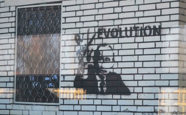 Друзья сказали, что давно уже везде есть такое, но я обнаружила только вчера