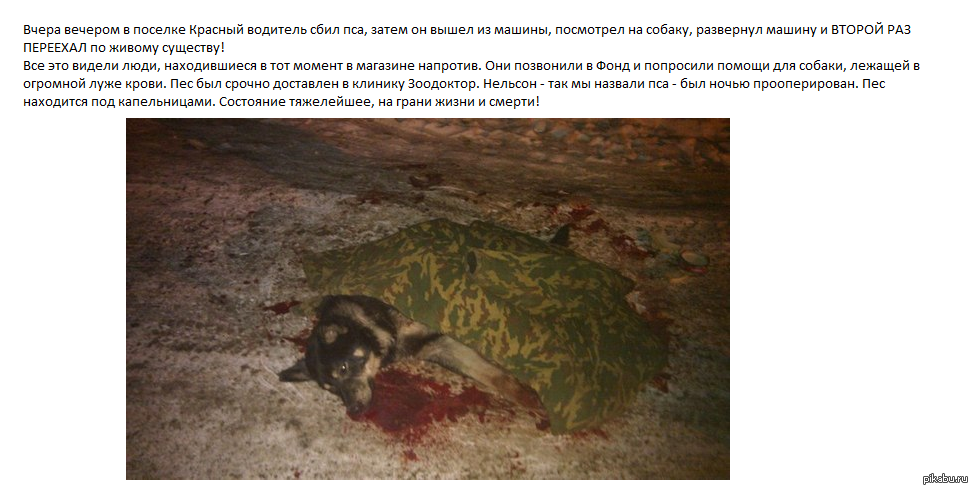 Просто нет слов...