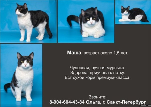 ��� ������ ��������-3!!!