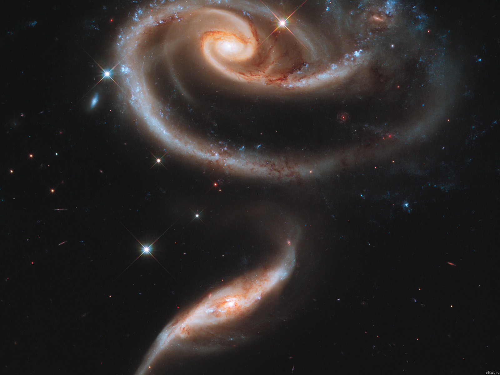    Arp 273.