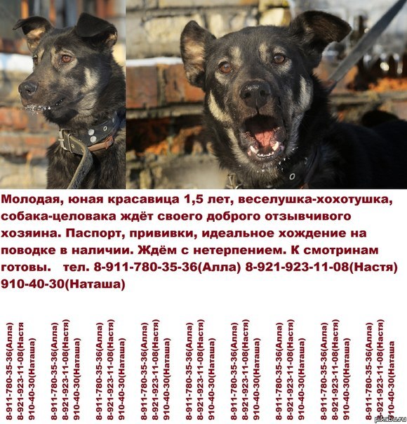 ��� ������ ��������!!!