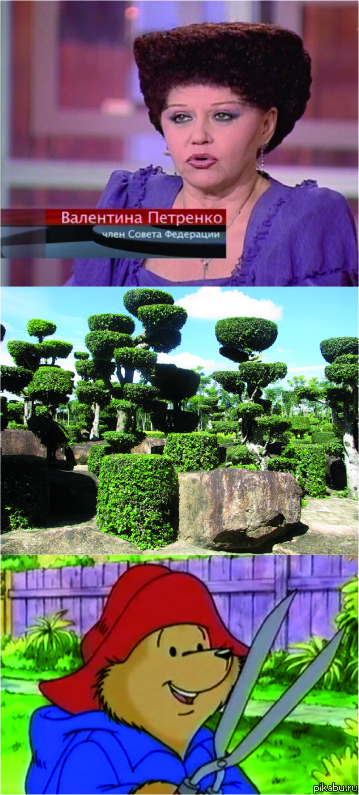 Человек куст