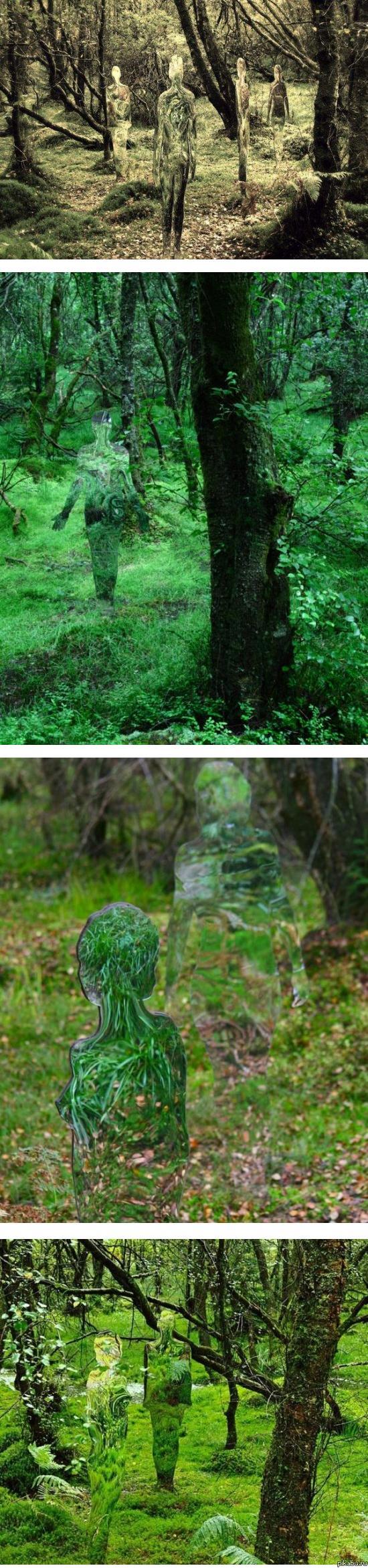 ������ �� ������