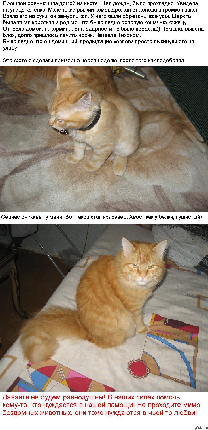 Давайте будем добрее