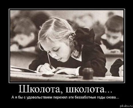 Все кричат "Школота"