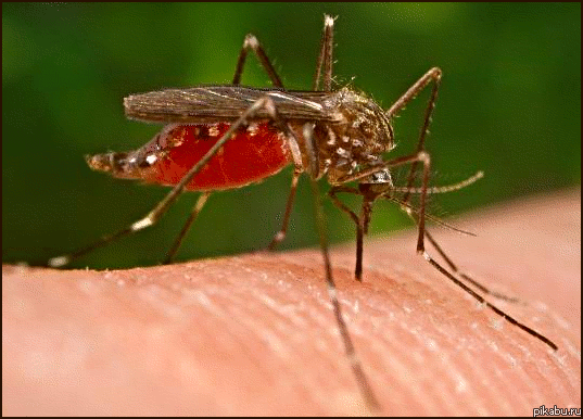 Уже совсем скоро!