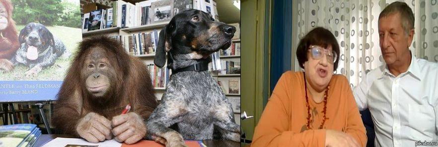 ���� �������!