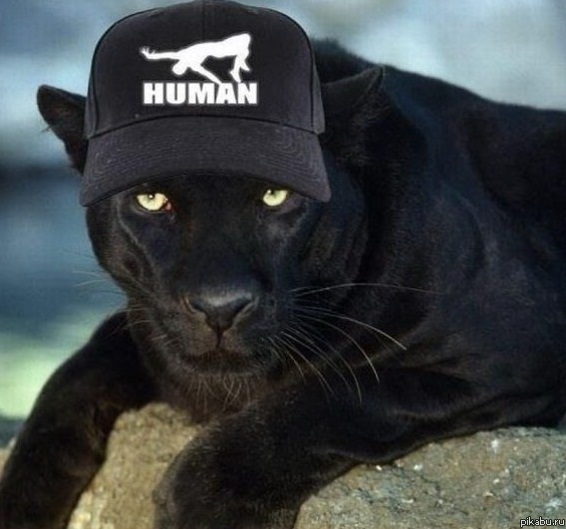 ���-�� � ������������ ����