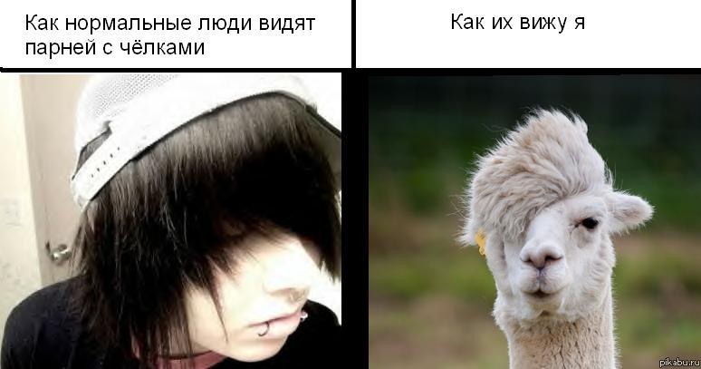 ��� � ���� ����������