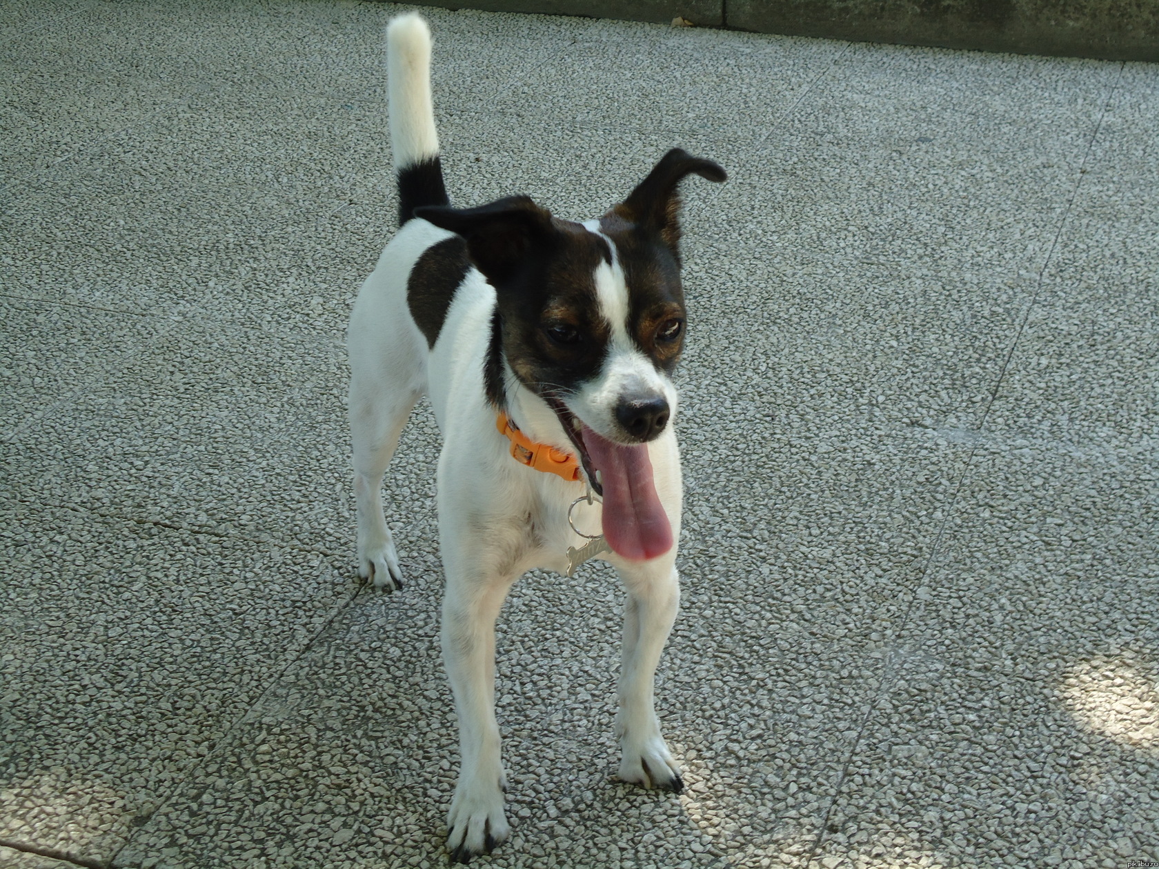 � ��� ��� �����:)