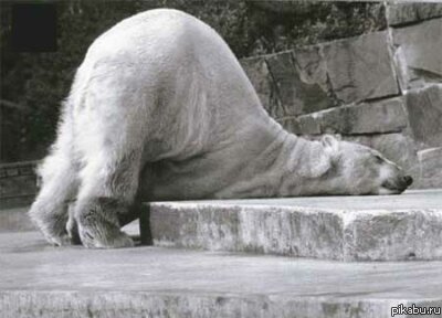   - &quot; ,     &quot;