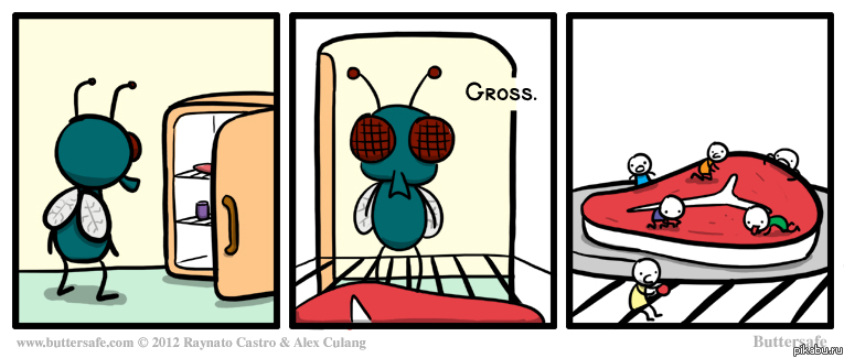 � ������������ ���������