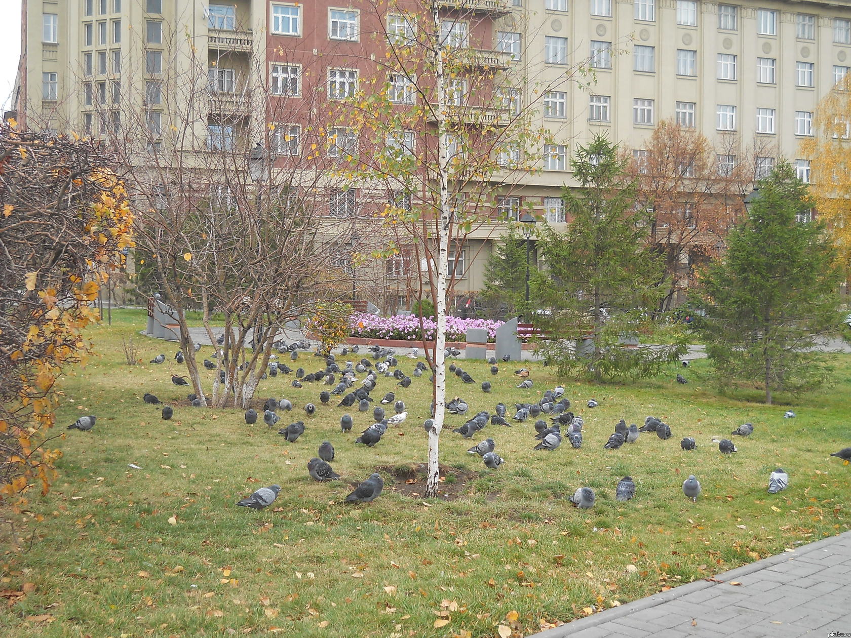 ��������� �������.