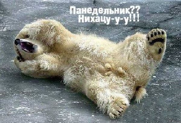 �����������(((