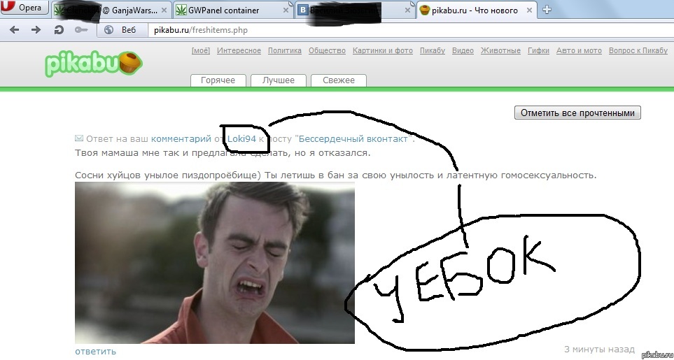 Ахтунг! Уебки атакуют на пикабу!