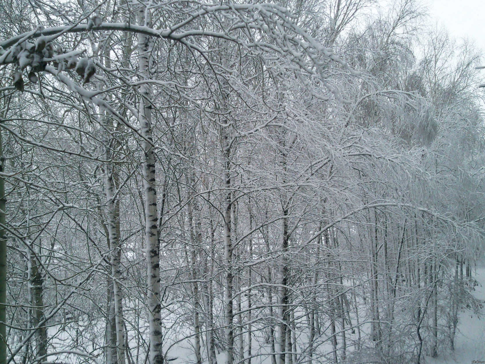 Тем временем в Тюмени.