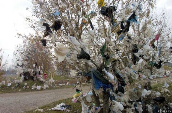 Бесплатные полиэтиленовые пакеты, и пакеты за деньги...итог один...