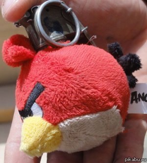 Angry birds