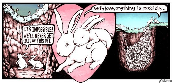 with love, anything is possible