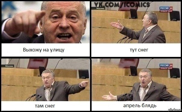 ������ ( ����� )