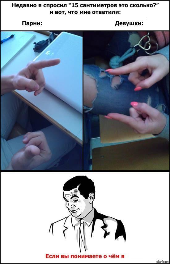 15 �����������