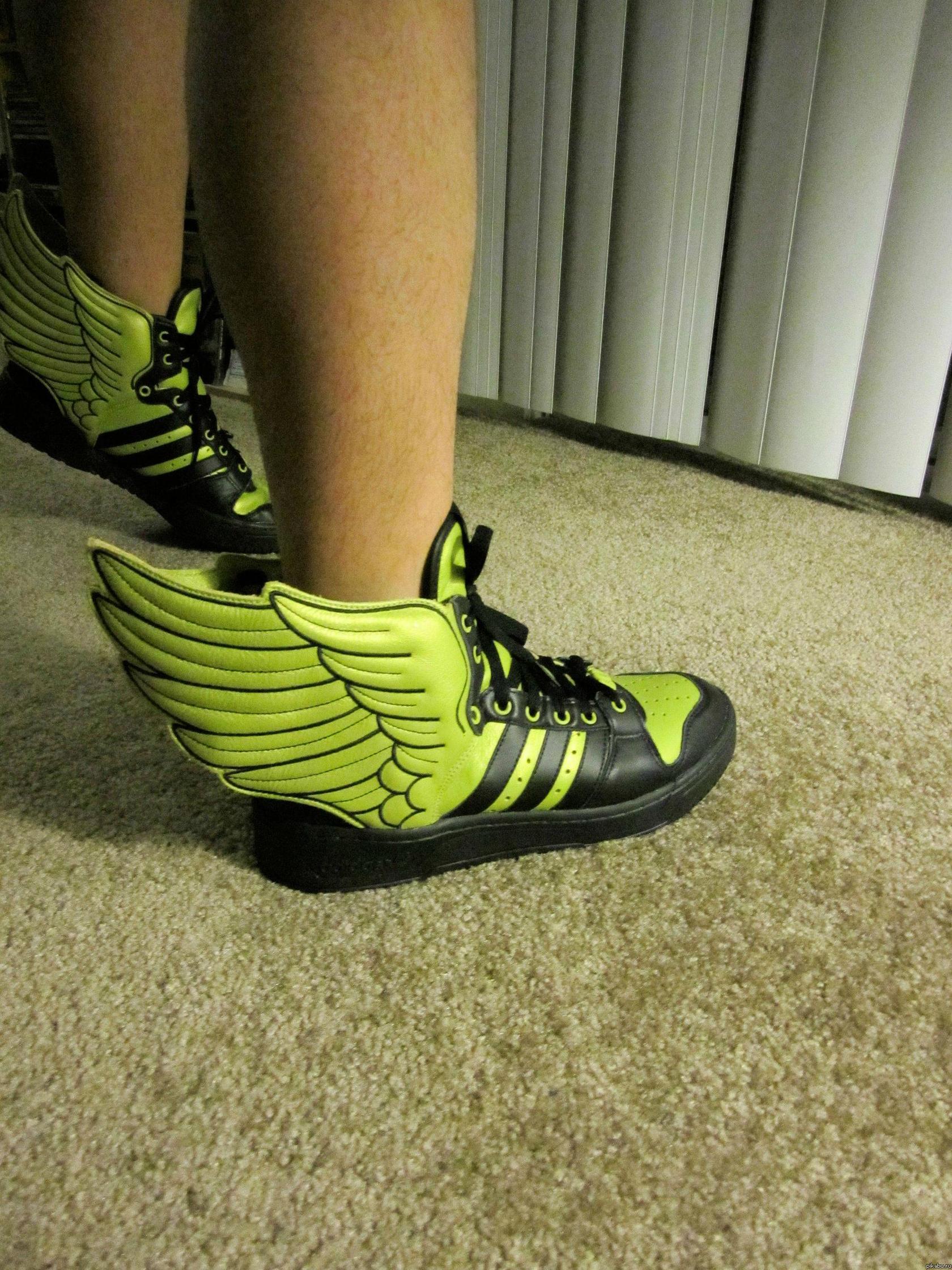 Крылатые кеды