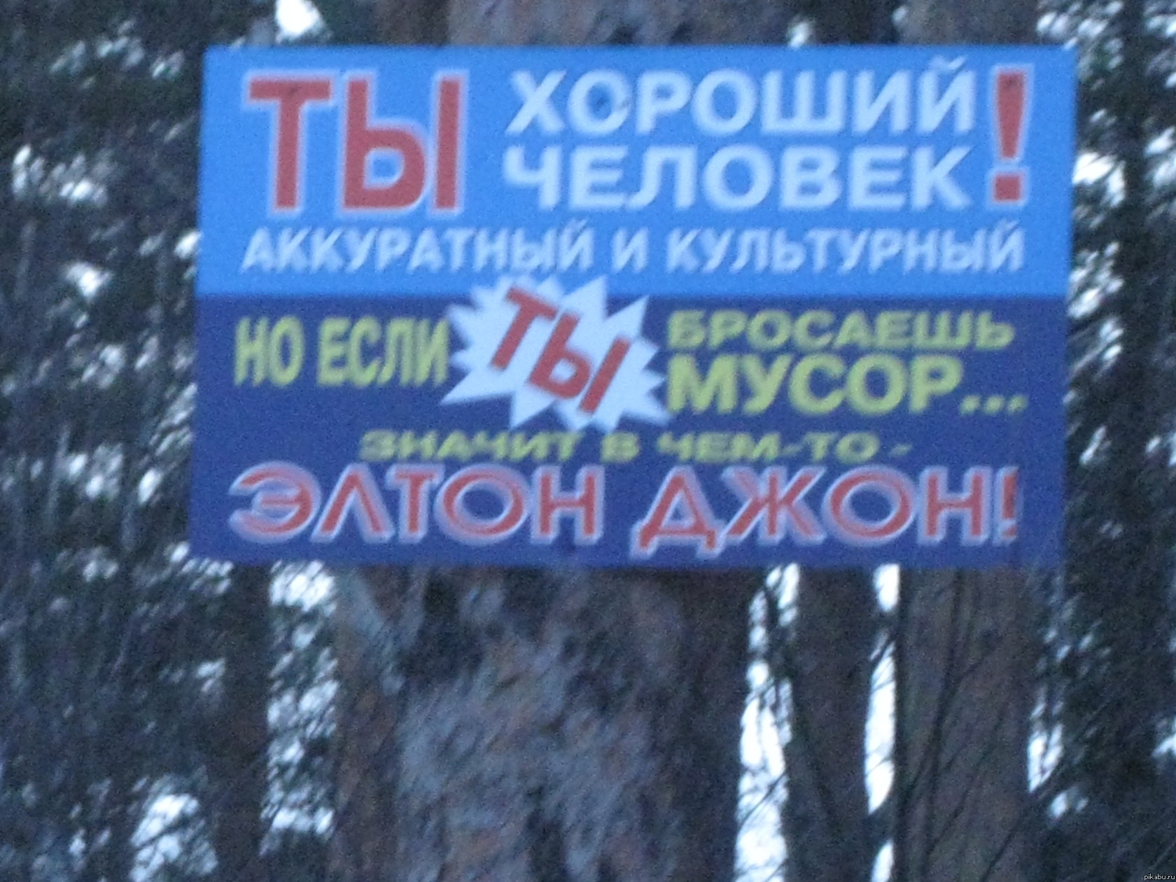 Зачетный лесник | Пикабу