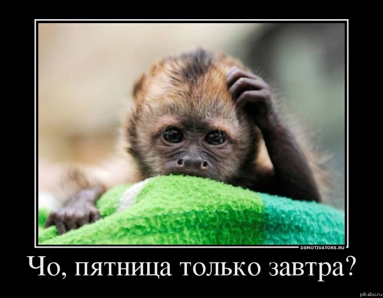 ��, ������� ������ ������?