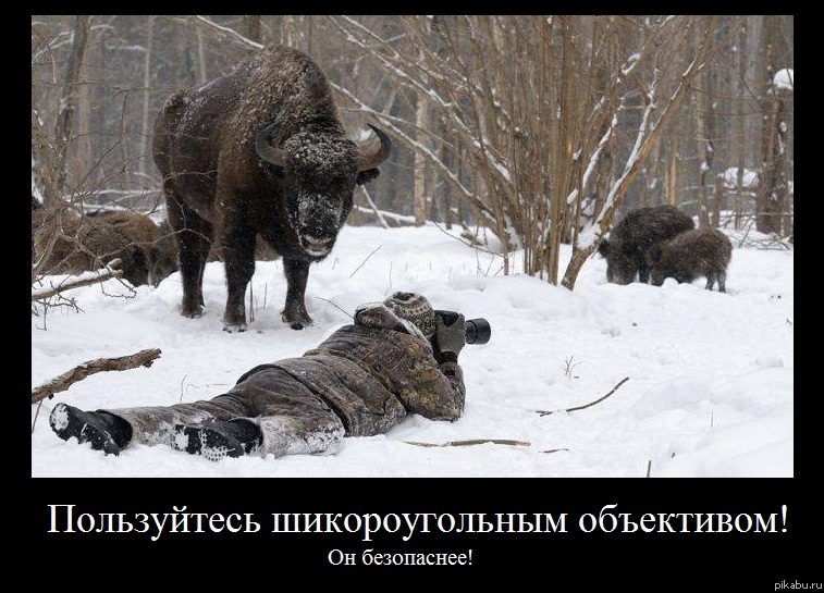 � �����-�� � �� �������...