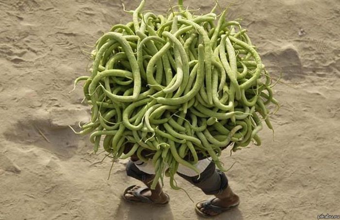 Неведомая хрень!