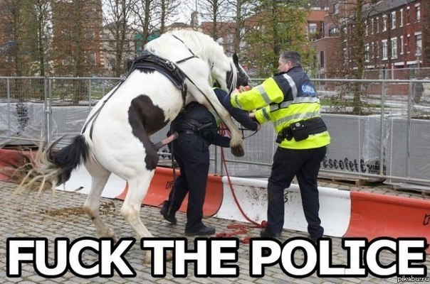  , police)))     ...