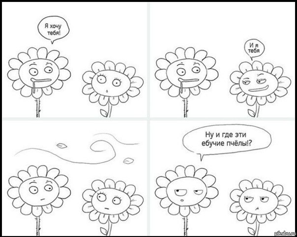 страсть | Пикабу