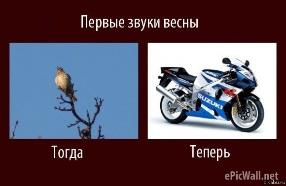 ������ ����� �����