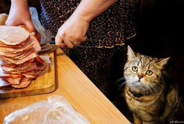 �� ���� :(