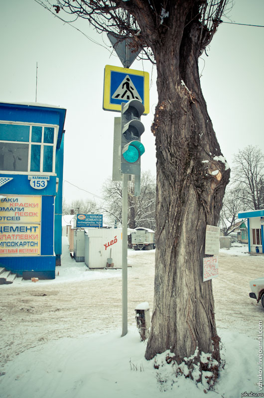 �������� � ����������