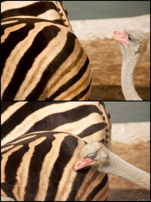 �� ����� ����, ����� ������� ����!