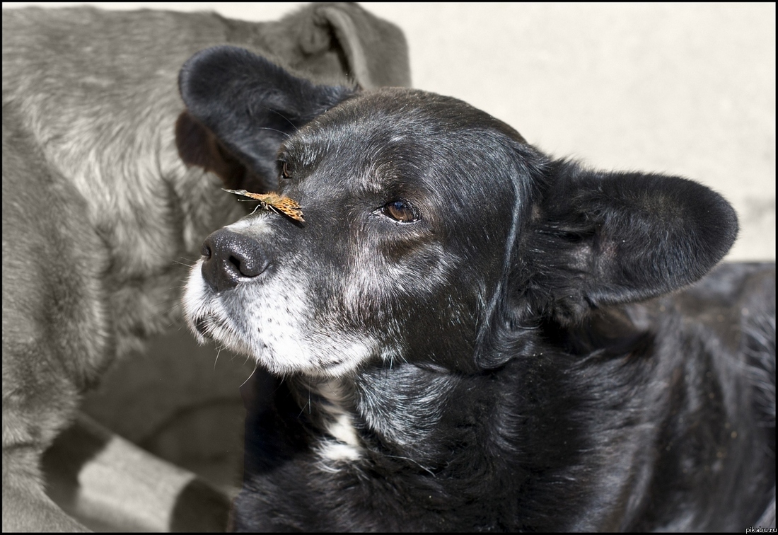 � ��� � ���� �� ���� =)