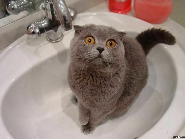 "�� �� ���� � � ��������!"