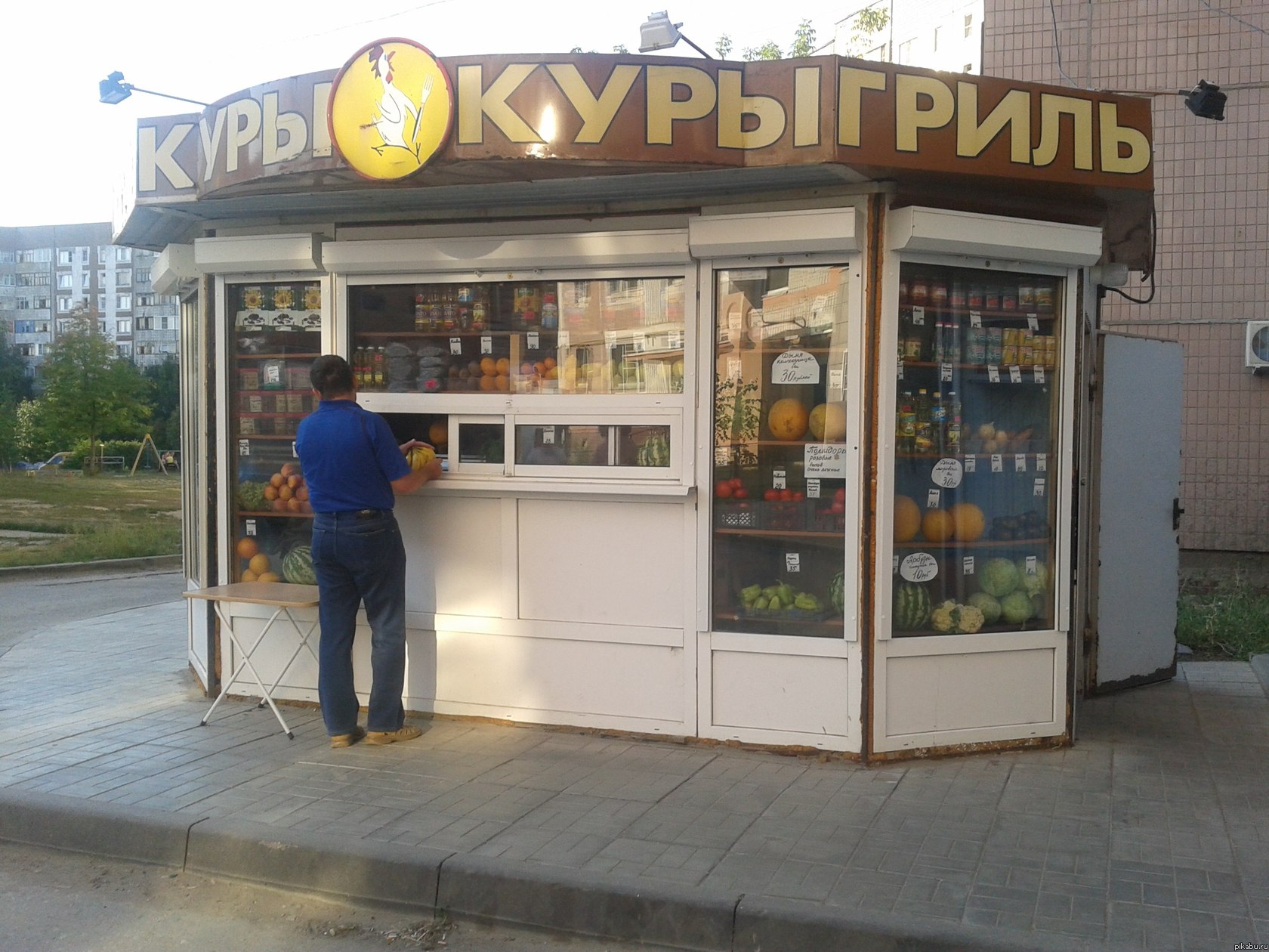 Курочки | Пикабу