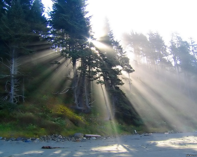 Утро с лёгким туманом