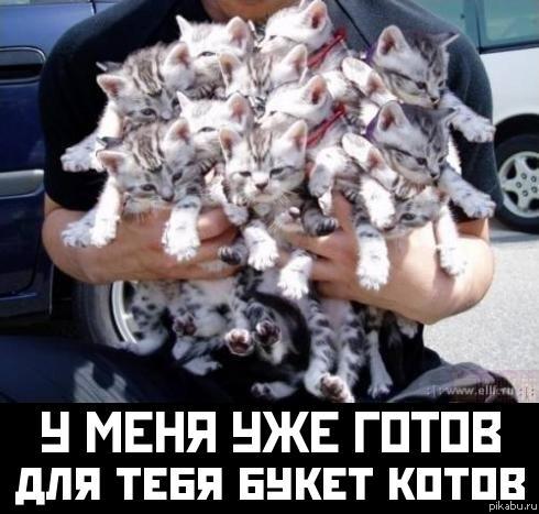 � ���� ��� ����� ��� ���� ����� �����)))