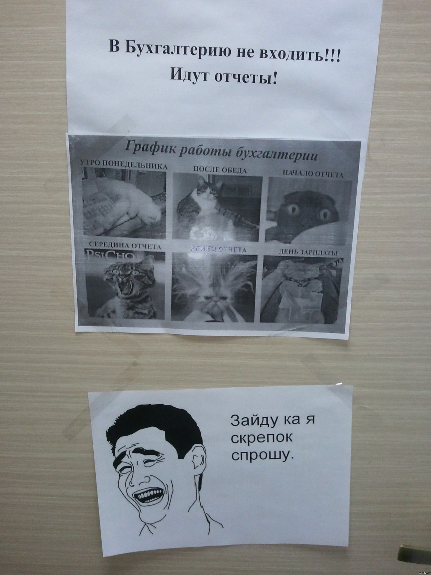Скрепок возьму