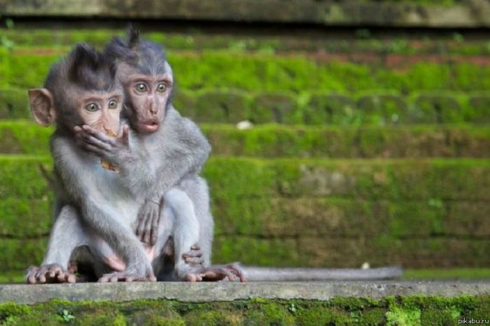 Боян был здесь.