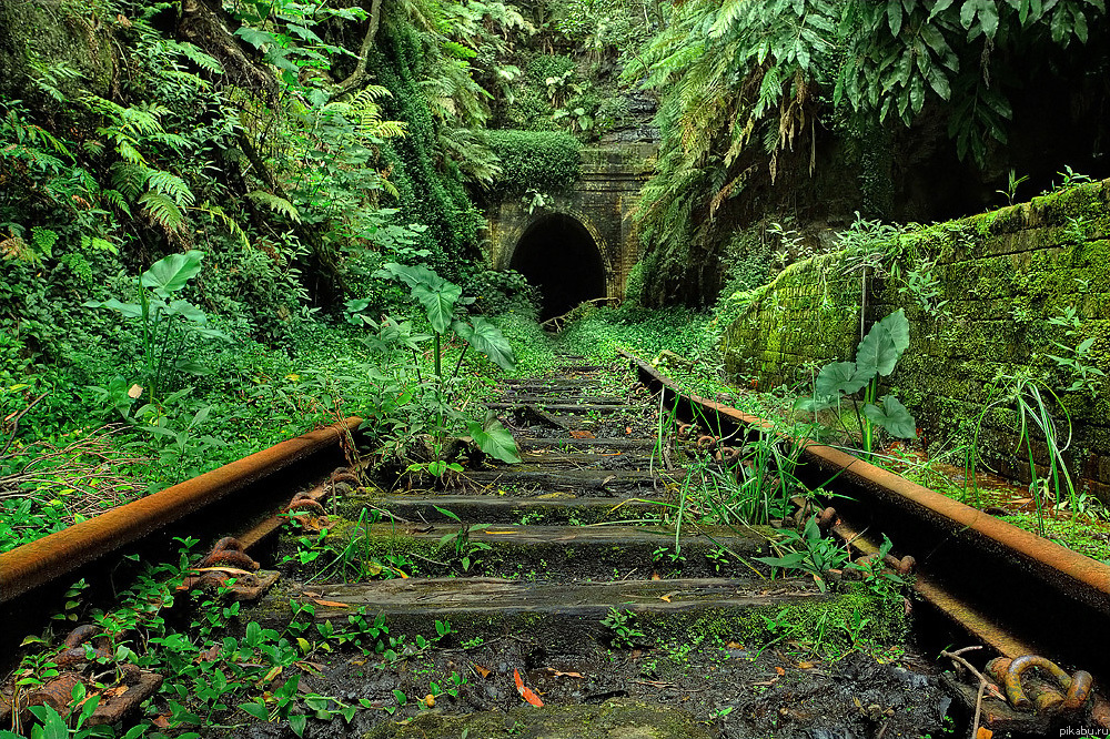 затерянная ветка