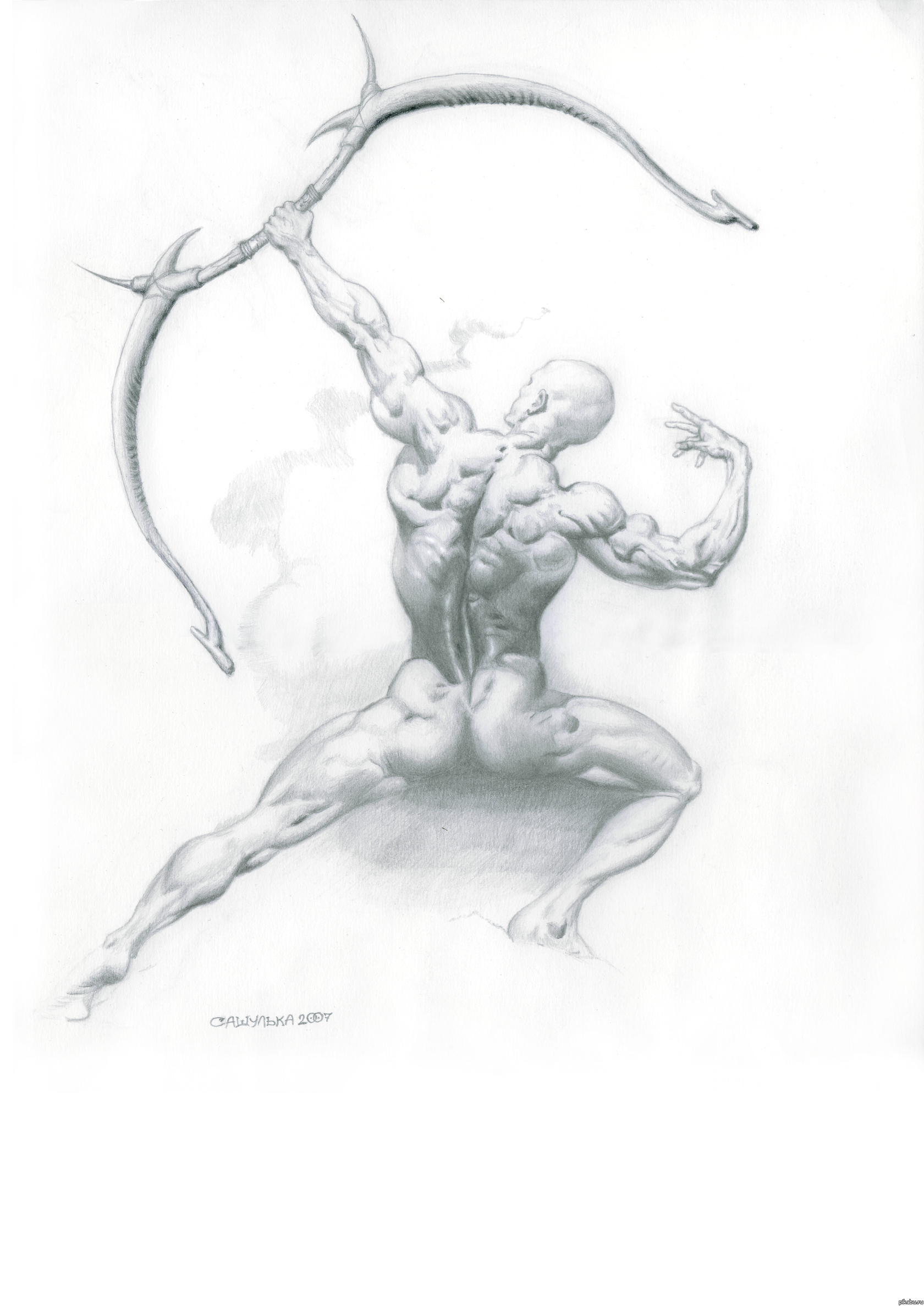 ���� ��������