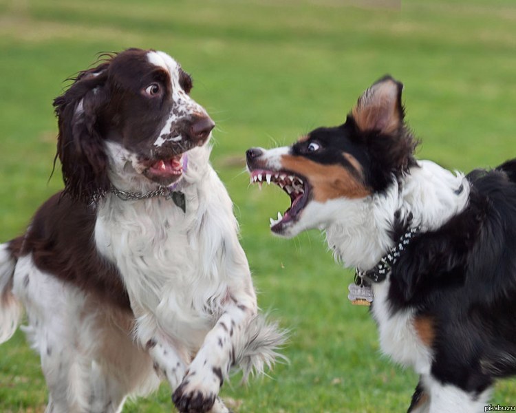 Эээээээ... бля