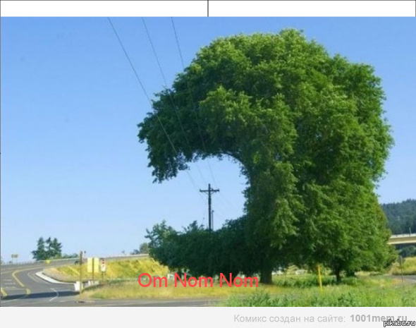 Голод природы