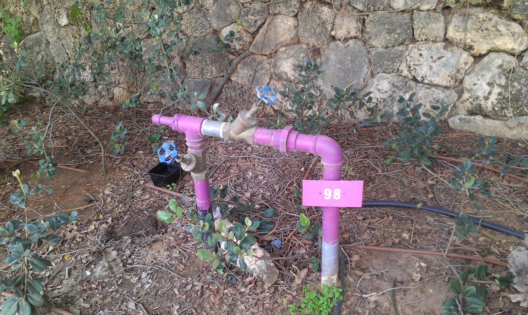 ��������� ��������������?